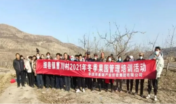 多宝网页版_多宝(中国)在静宁帮扶村开展冬季果园管理培训(图3)