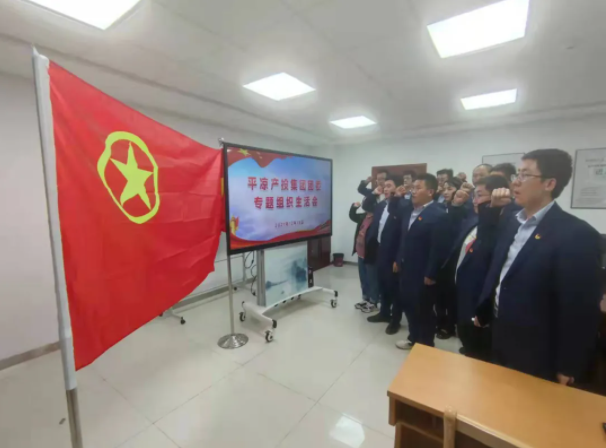 多宝网页版_多宝(中国)团委召开2021年度专题组织生活会(图5)