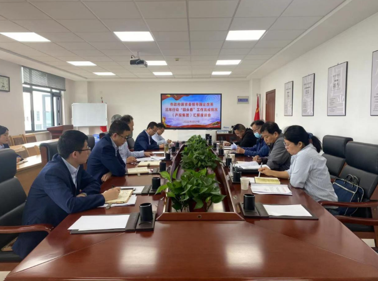 市政府国资委督导多宝网页版_多宝(中国)国企改革三年行动“回头看”工作完成情况(图1)
